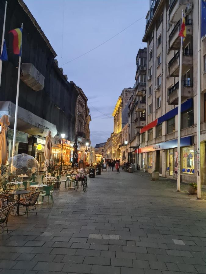 Color Ap Calea Victoriei 12C Lejlighed Bukarest Eksteriør billede